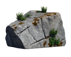 Large Grey Rock with Green Plants