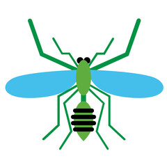 
mosquito
