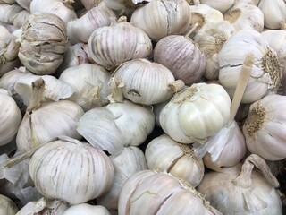 Fresh garlic