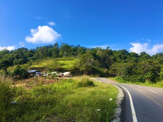 road in the borneo meratus mountains