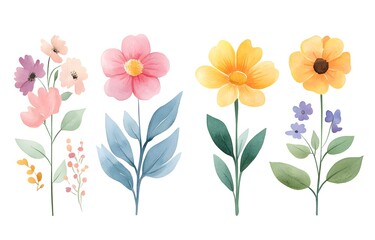 Watercolor flower clip art, white background, cute, simple design, illustration, watercolor, pastel colors