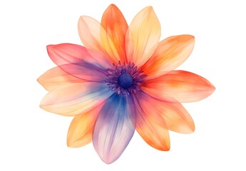 Fototapeta premium Watercolor flower illustration isolated on a white background, simple watercolor clipart cutout, 