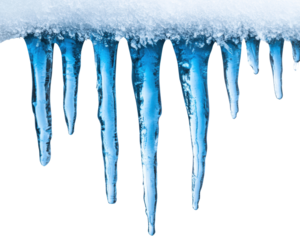 Icicles hanging from a snow-covered surface, isolated on a white background, transparent background.