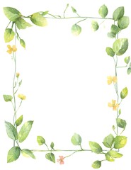 Watercolor square frame with a white background, light green leaves and flowers, vector illustration, white isolated background,