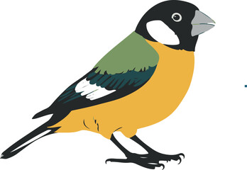 yellow green bird vector