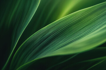 Green foliage creating abstract natural background