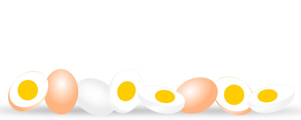 Boil eggs with half eggs isolated on white banner background. Vector illustration. Protein eggs nutrition. eggs template design. Healthy food.
