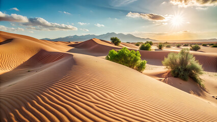 photography of Desert dunes with soft shadows