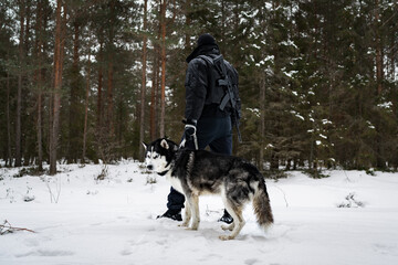 A husky dog ​​on a leash with a border guard with a rifle on his back in a winter forest.
