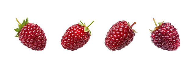 Red raspberry on white background
