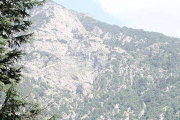 A mountain landscape featuring bare rocky areas alongside patches of vibrant greenery.