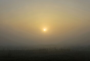 Fototapeta premium foggy morning a foggy morning with the sun rising through the mi