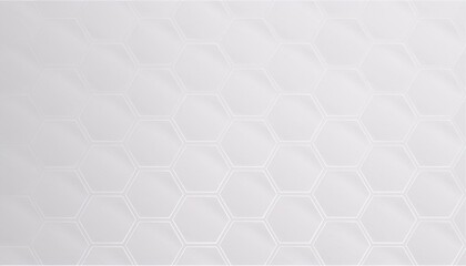 Fototapeta premium Abstract. Hexagon white Background. light and shadow. Embossed Hexagon, honeycomb white background. White Wide Hexagon Background Site head 3d illustration