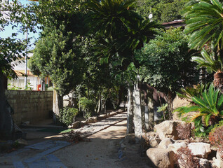寺の庭。
住居へ続く通路。