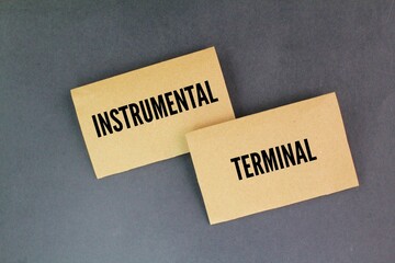 paper with the words instrumental and terminal. What are the 2 types of values? According to Milton Rokeach.