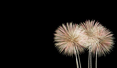 Obraz premium Vibrant fireworks light up the night sky, creating a stunning visual display during a summer celebration, igniting joy and excitement