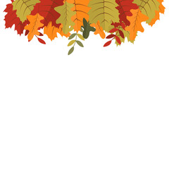 Autumn leaves background