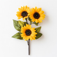 3 yellow sunflowers on a white background