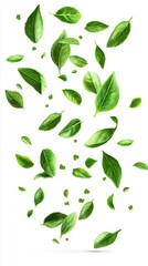 Fresh Green Leaves Falling on White Background Generative AI