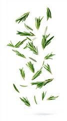 Fototapeta premium Fresh Rosemary Leaves Floating on White Background Generative AI