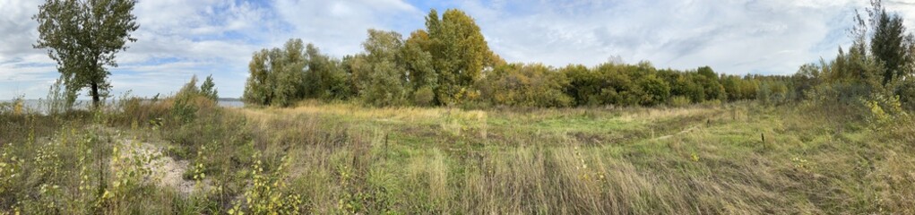 Autumn forest landscape cloudy day HDRI