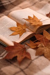 autumn leaves on a book