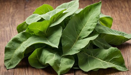  Fresh green leaves ready for culinary delight
