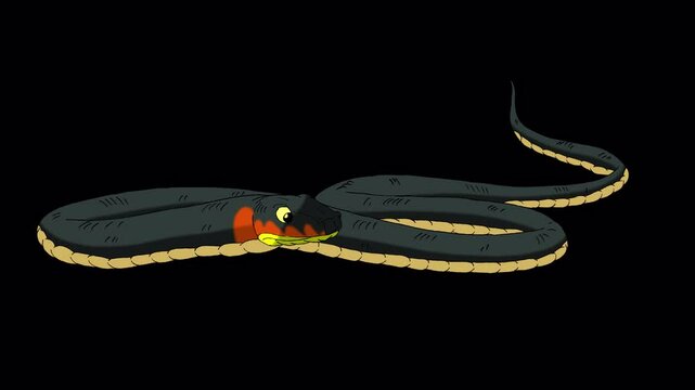 The snake is crawling alpha matte. Handmade animated looped 4K footage isolated on alpha channel