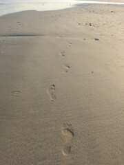 footprints on the beach