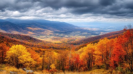 Fototapeta premium A scenic overlook of a valley filled with autumn colors, with golden and red trees stretching out as far as the eye can see, and mountains in the distance.