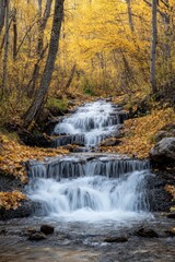 Obraz premium A small waterfall cascading through a forest of golden autumn trees, with leaves gently falling into the stream below.