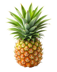 Fototapeta premium a whole pineapple isolated on transparent background