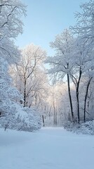 Winter Wonderland: A serene path through a snow-covered forest, bathed in the soft glow of a winter sunrise. 