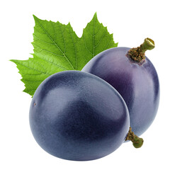 purple or blue Grape, isolated on white background, full depth of field