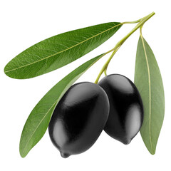 black Olives isolated on white background, full depth of field