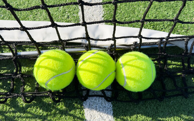 Tennis ball on grass tennis court