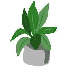 Houseplants flowerpots isolated icons vector illustration. Decorative home plants, botanical icons and stickers. Flower pots and kitchen herbs, hanging plants, floral decorations collection.