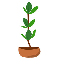 Houseplants flowerpots isolated icons vector illustration. Decorative home plants, botanical icons and stickers. Flower pots and kitchen herbs, hanging plants, floral decorations collection.