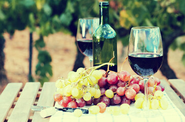 Red wine and ripe grapes on table in vineyard