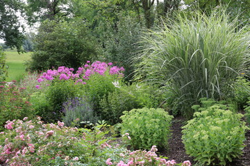 Staudengarten blüht bunt