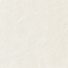 Fototapeta premium Smooth white parchment or paper texture showing close up of fibers and material. Empty blank background. Seamless tiled texture.