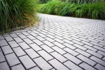 Stone path in the park, detail photography of pavement sidewalk and decorative green grass