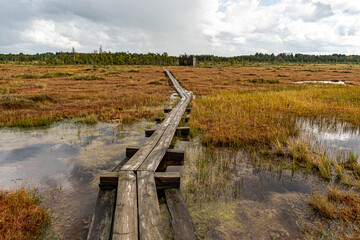 wooden footbridge in the bog, traditional bog vegetation, Nigula nature reserve is Nigula bog, a typical western Estonian bog