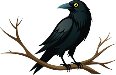 Black crow perched on a branch with detailed feathers and a sharp gaze