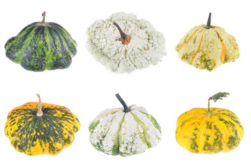 Collage small patterned decorative pumpkin on isolated white background