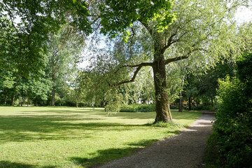 Fototapete bei efototapeten.de bestellen   