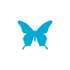 Color butterfly icon isolated on transparent background