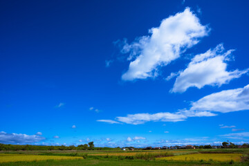 Obraz premium 三つ雲