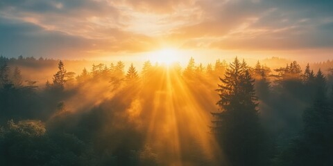 Fototapeta premium Serene Sunrise Over Misty Forest Landscape