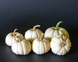 still life, various autumn vegetables, traditional harvest